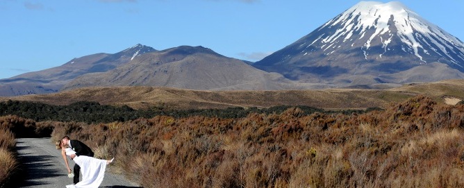 DSC 8372
